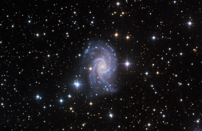 NGC 2835 - Spiral Galaxy