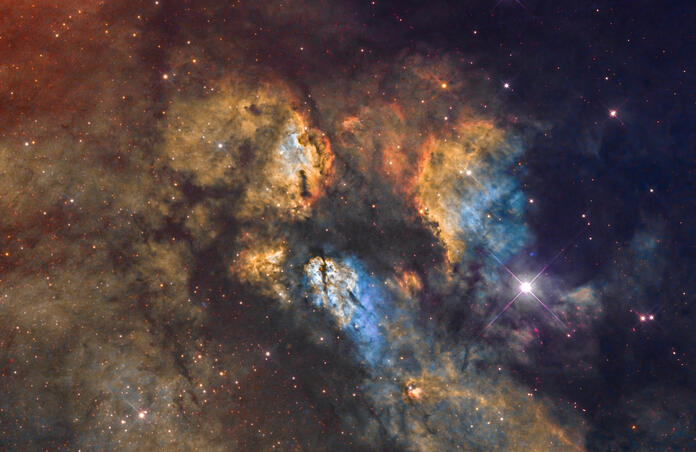 RCW 38