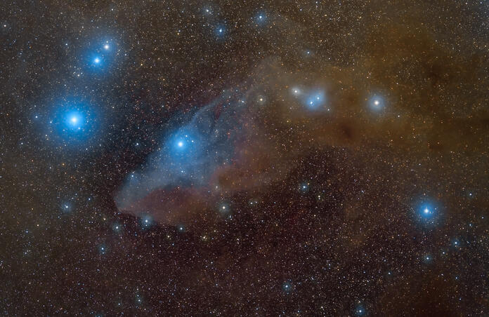 Blue Horsehead Nebula