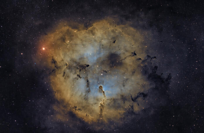 IC 1396 and the Elephant's Trunk Nebula