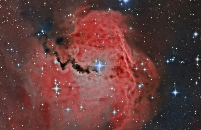 IC2177 - Seagull nebula
