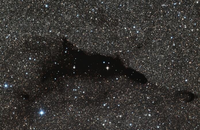 Dolphin Dark Nebula - Barnard 252