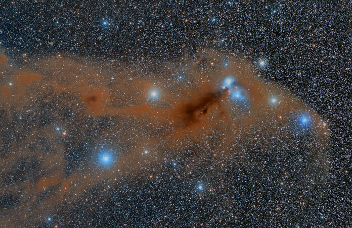The Anteater Nebula