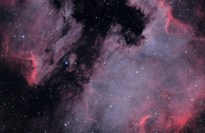 The Pelican and North American Nebula