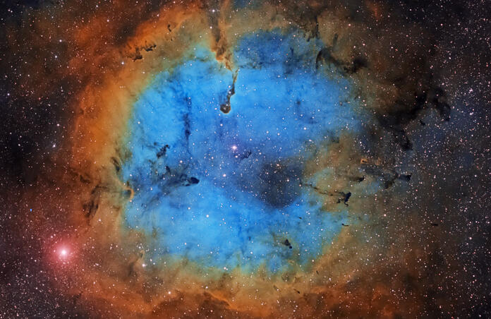IC 1396 - The Elephant Trunk Nebula