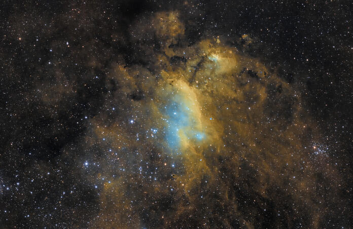 Prawn Nebula