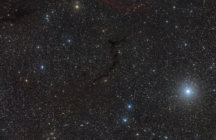 The Seahorse Nebula in a sea of stars