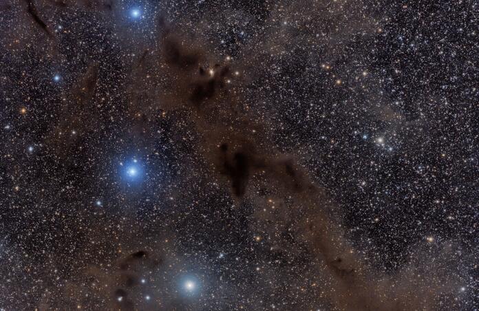 The Dark Wolf Nebula