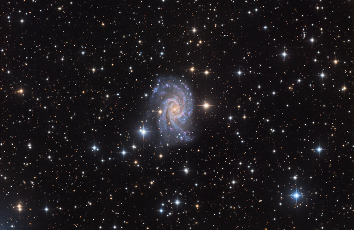 NGC 2835