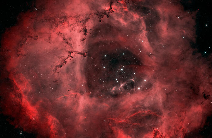 Rosette Nebulae