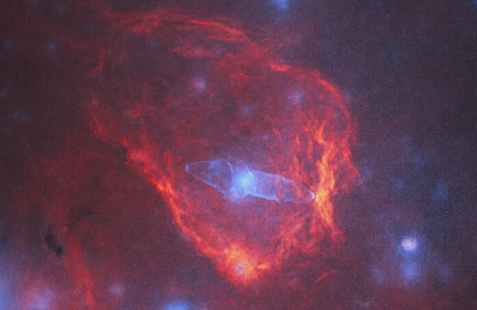 Starless The Squid & Flying Bat Nebulae HaHOO BiColor