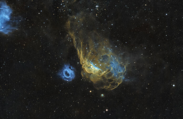 Cosmic Reef: NGC 2014 & NGC 2020