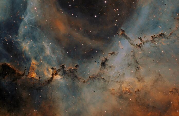 The Rosette Nebula (the zoo)