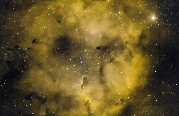 Elephant's Trunk Nebula