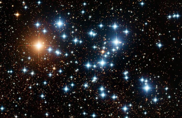 The Butterfly Cluster
