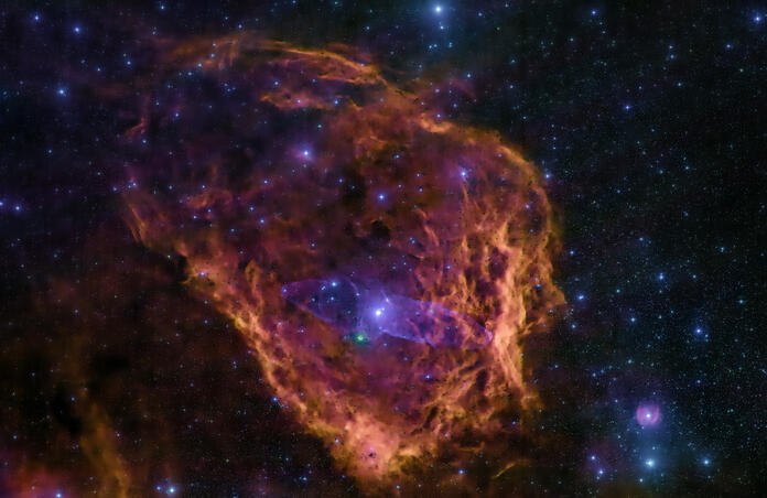 Flying Bat & Squid Nebula