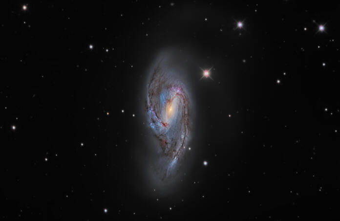 M66