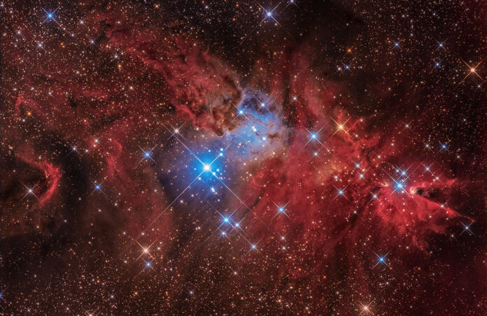 Cone Nebula