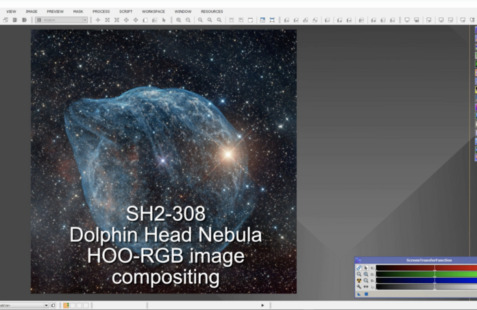 Dolphin Nebula