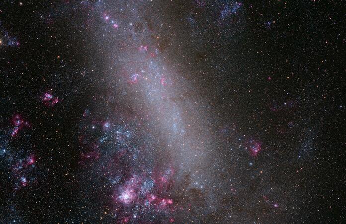 The Large Magellanic Cloud