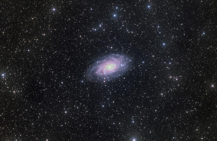 Widefield Triangulum Galaxy