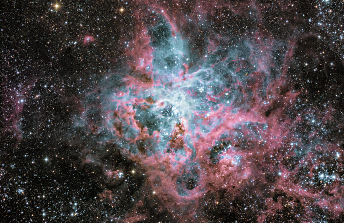 Tarantula Nebula