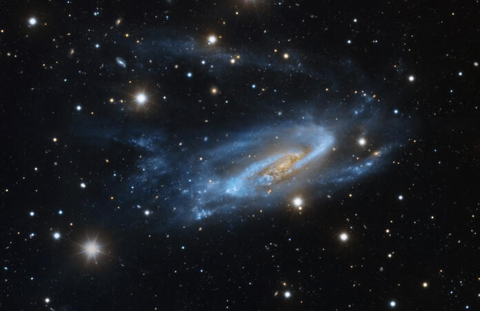 NGC 3981