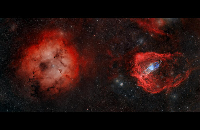 Elephant's Trunk Nebula, Flying Bat Nebula and Squid Nebula