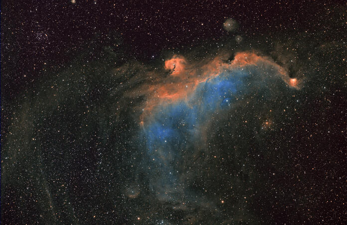 Seagull Nebula in SHO