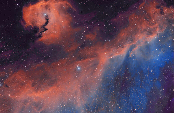 Seagull Nebula (IC 2177) in SHO