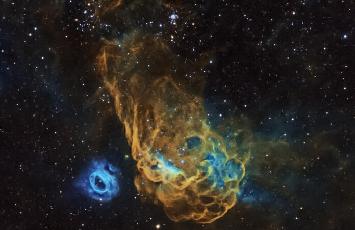NGC 2014 and NGC 2020