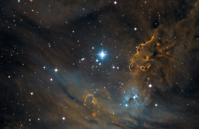 NGC 2264 ... The "Fox Fur Nebula"