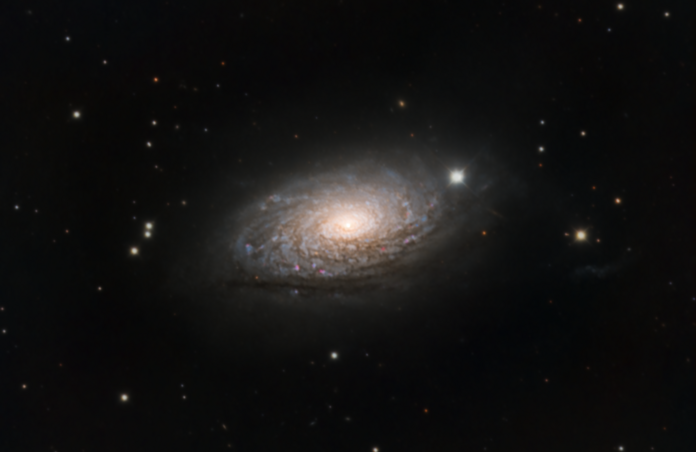 M63 (Sunflower Galaxy) from SPA-2