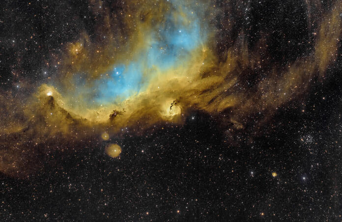 Widefield image Seagull Nebula
