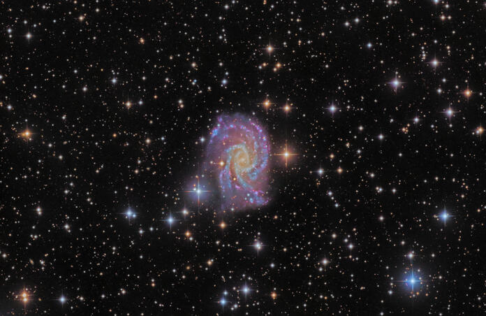  NGC 2835