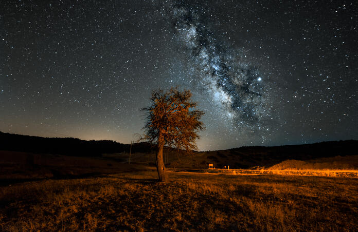 Tree & Milky Way - Stellar Xperiences