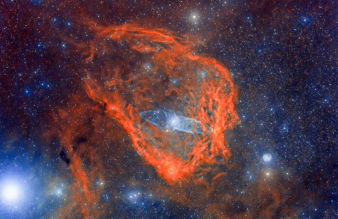The Flying Bat Nebula and the Squid Nebula (SH2-129 & OU4)