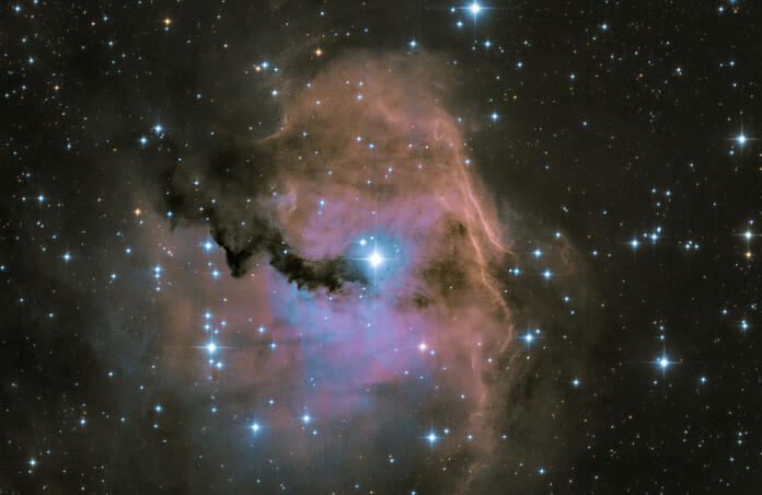 Seagull's Nebula