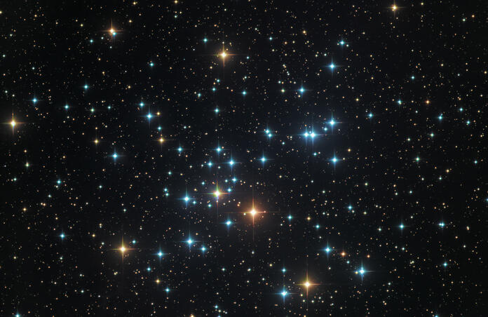 M41