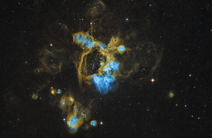 LMC N44