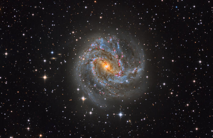 M 83 - The Southern Pinwheel Galaxy CH-1