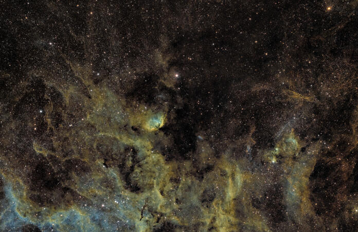 Tulip Nebula and Cygnus X-1