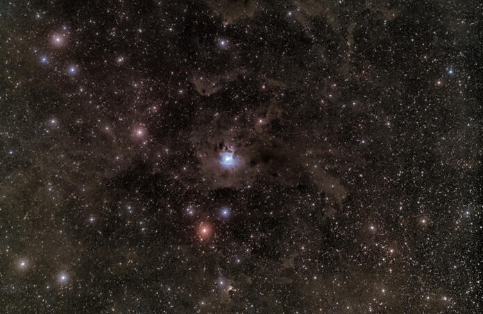 Widefield image Iris Nebula