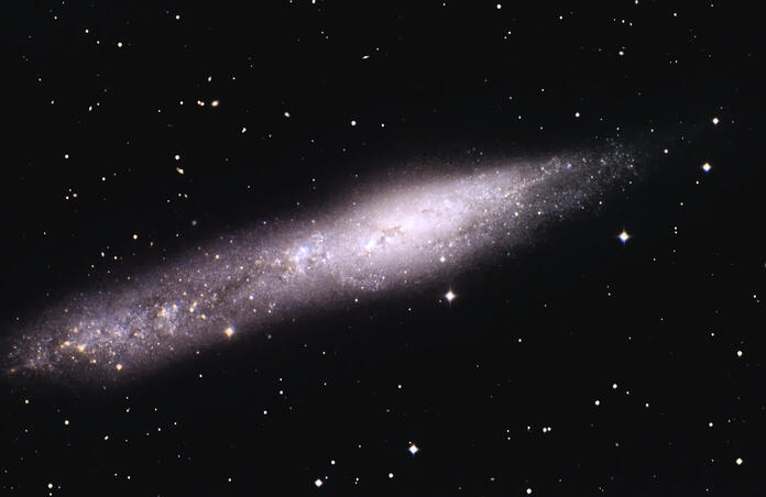 NGC 55 The whale galaxy.