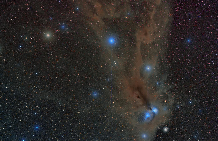 IC 4812 in Corona Australis