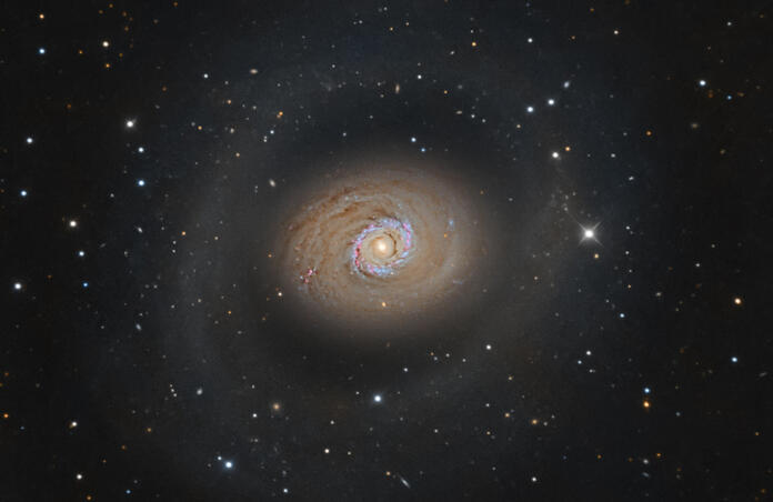 M94