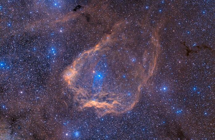 Squid Nebula