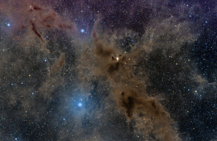 Dark Wolf Nebula