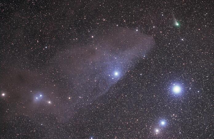 A comet among Scorpius stars