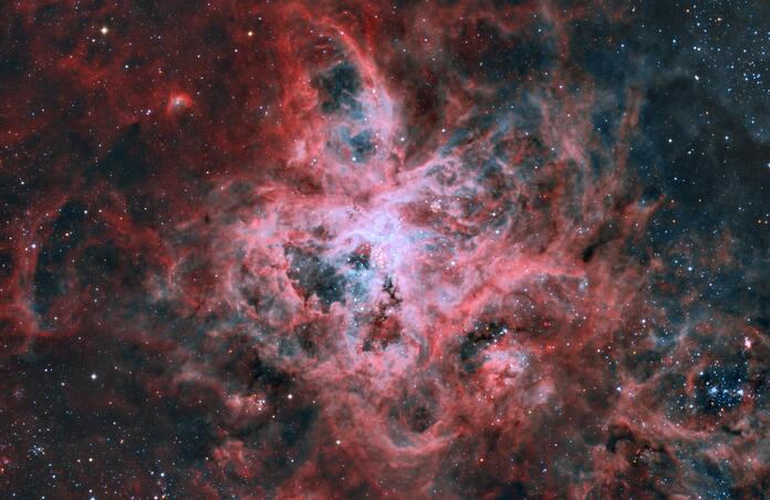 Tarantula Nebula SHO